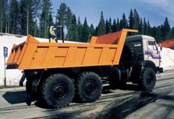 Бортовой автомобиль   КамАЗ 45141 010-13